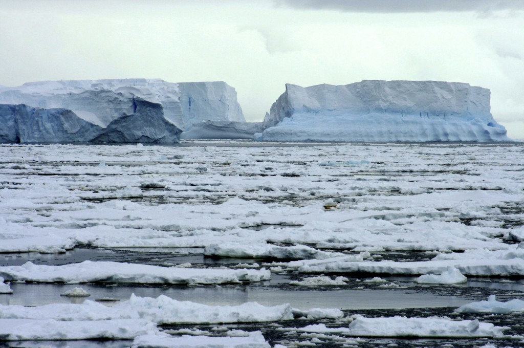 Ice shelf Wilkins