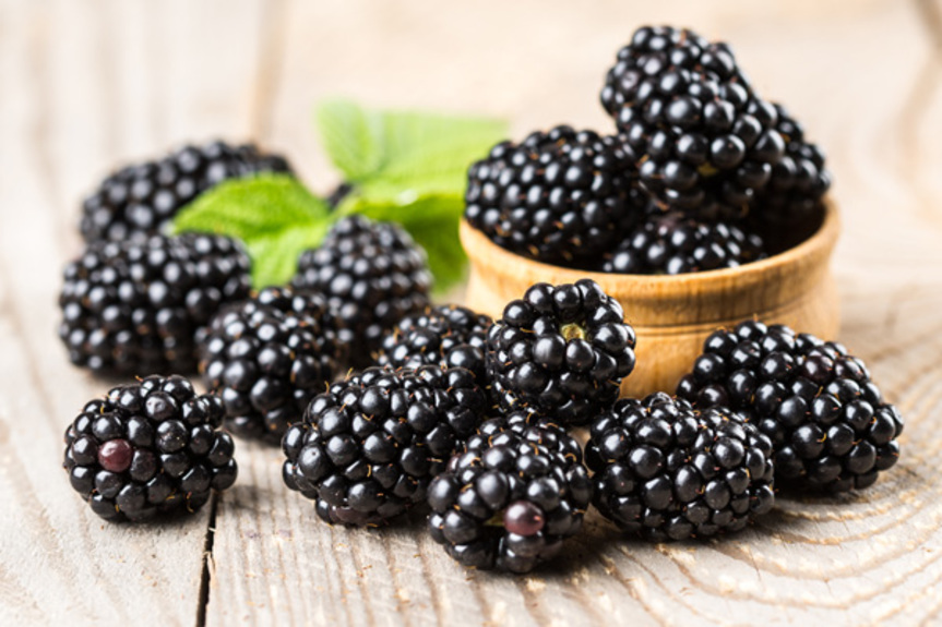blackberries_206260981